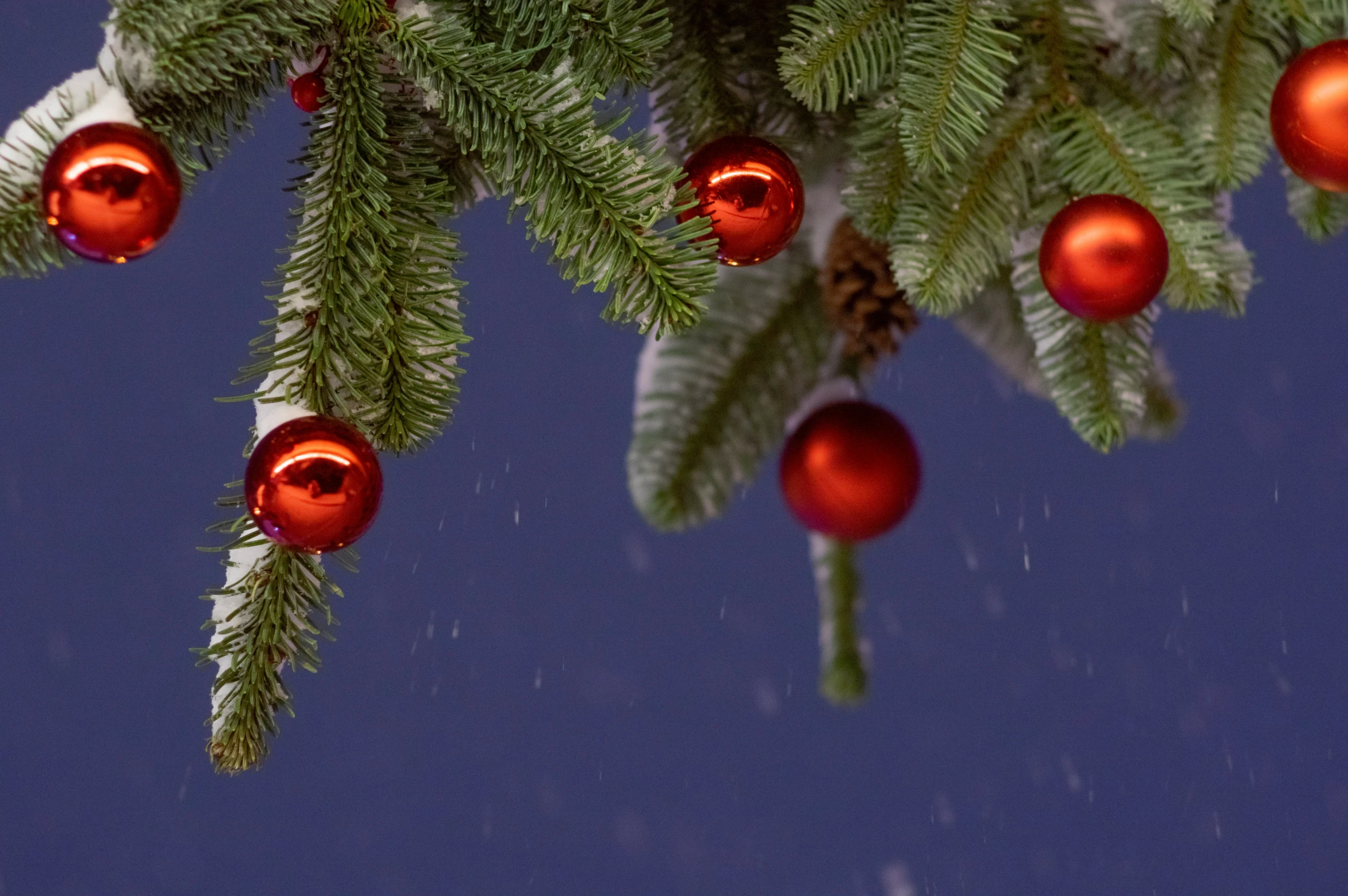 a pine tree with ornaments on it during the winter