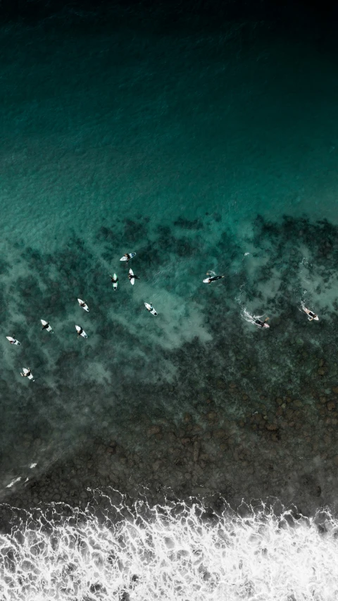 an aerial view of a body of water and surfboard