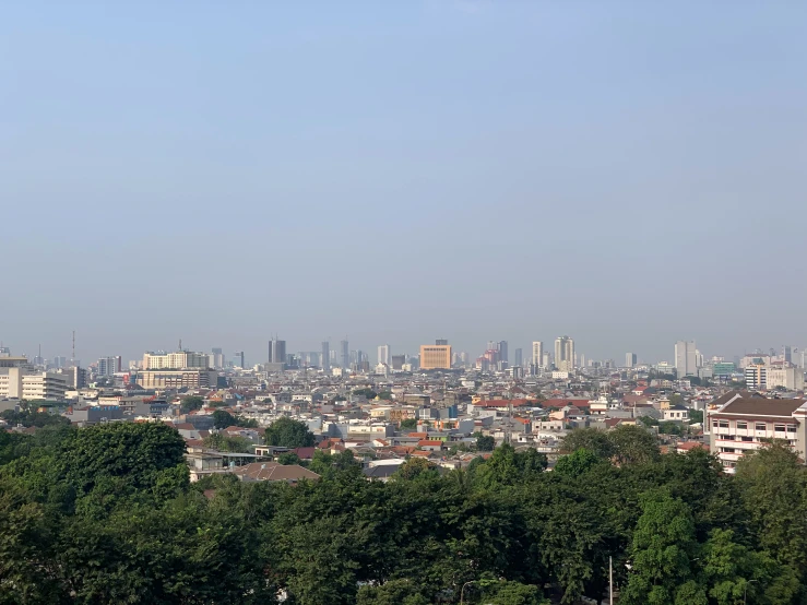 a city with skyscrs in the background and lots of trees