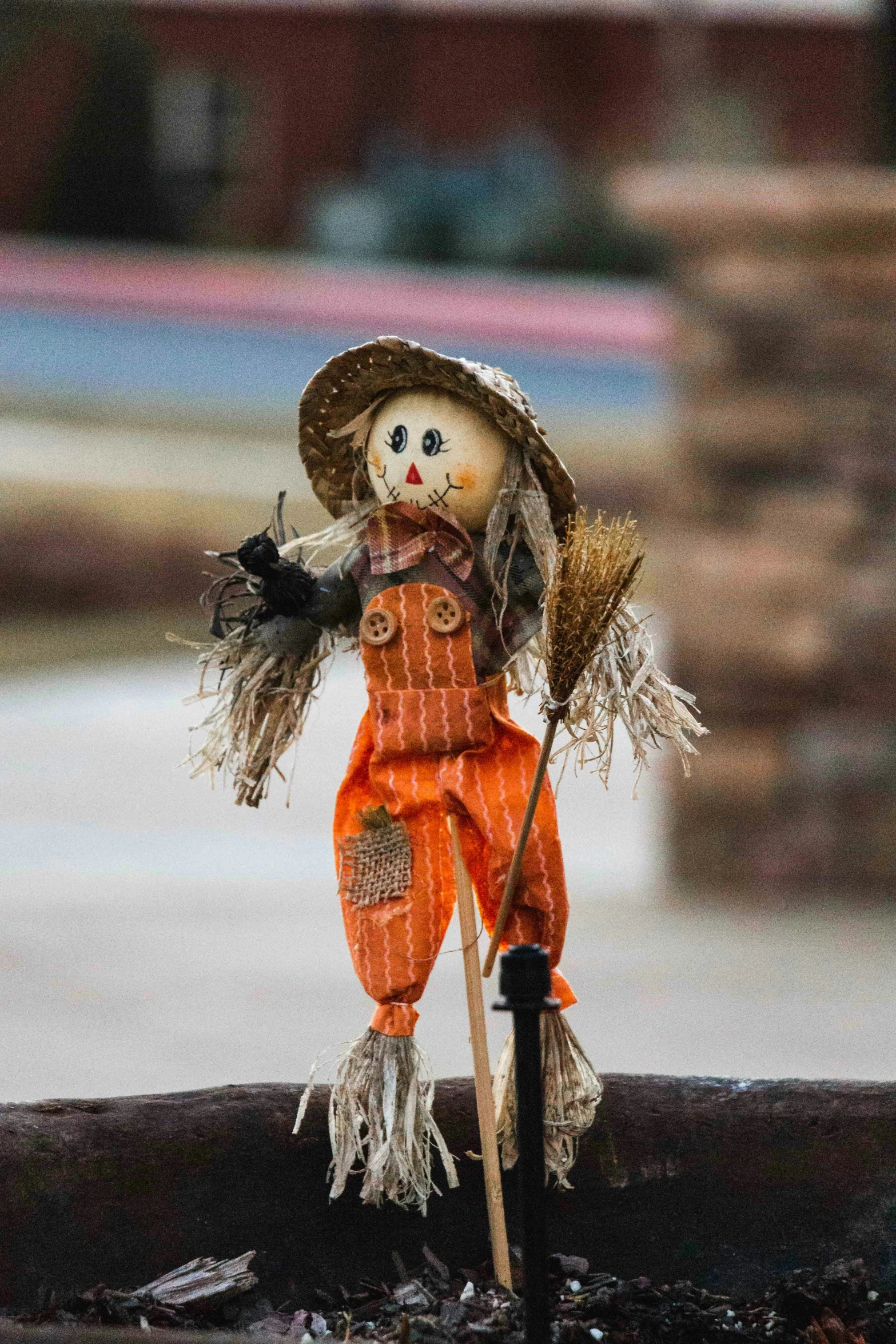 the scarecrow is waiting to be sold on the tree