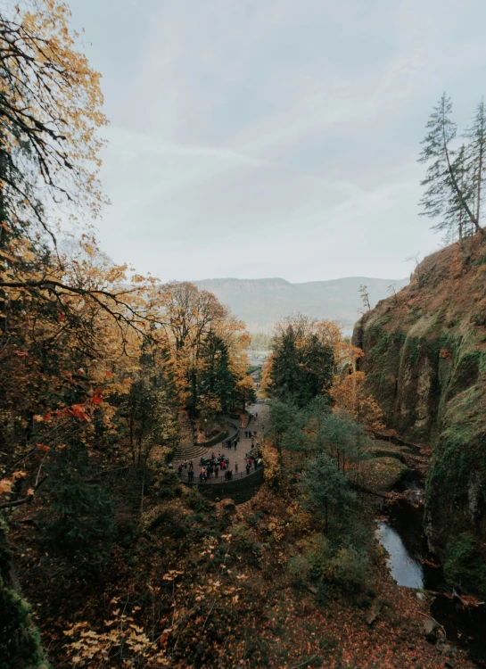 an image of a person walking alone in the woods