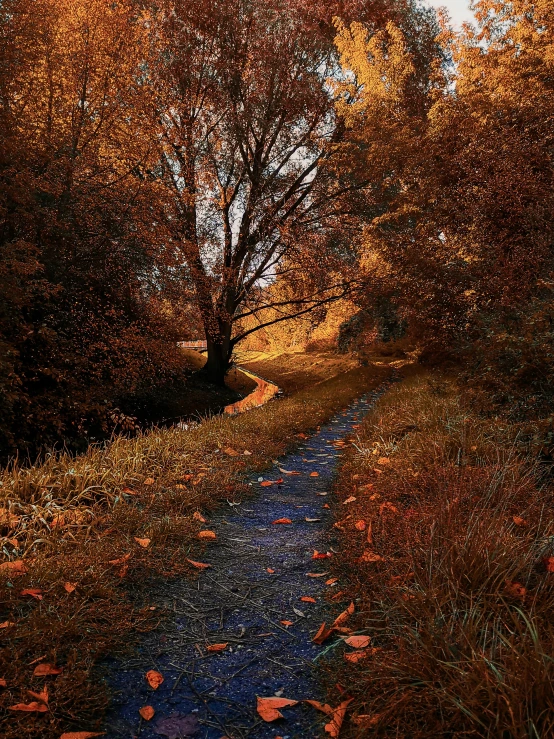 a stream running through a lush green countryside