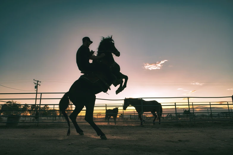 a person on a horse near several horses