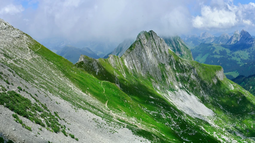 the top of a mountain in a forested area