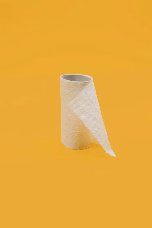 a toilet roll sits on an orange background