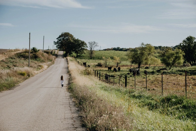 a woman walks down a dirt road by cow's grazing