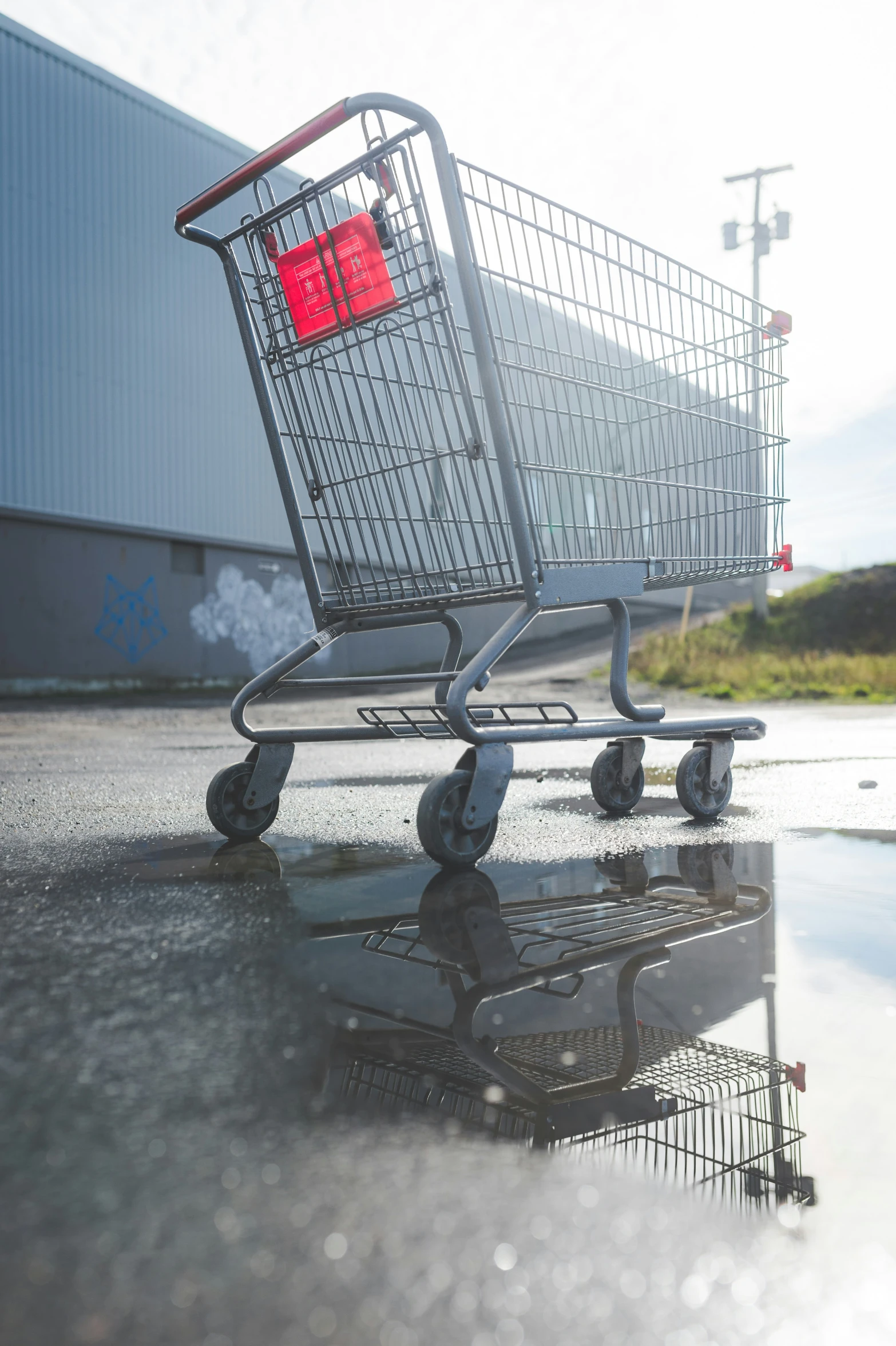 a shopping cart on pavement with reflection