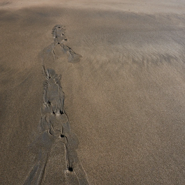 a long line of footprints in the sand at the beach