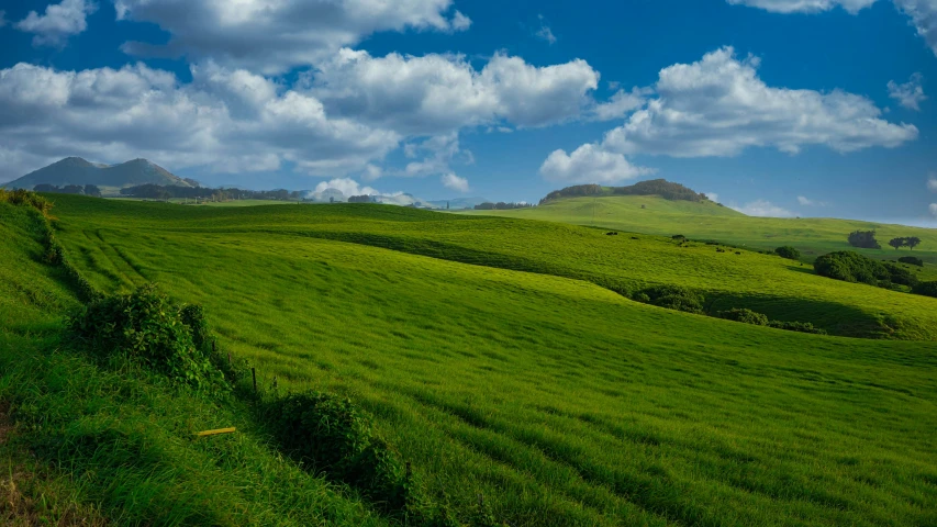 a lush green field under a partly cloudy blue sky