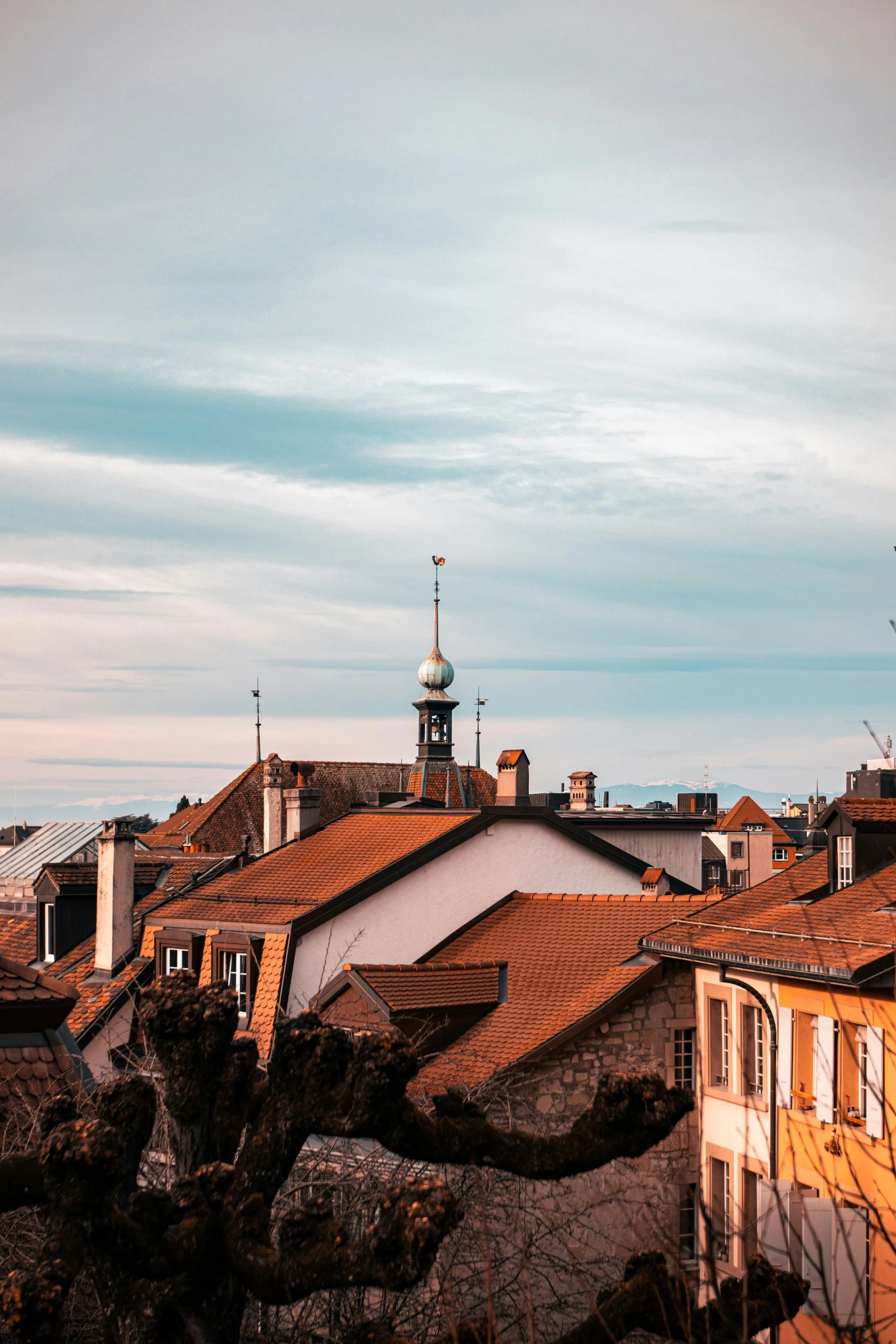 a city rooftop with several red roof tiles