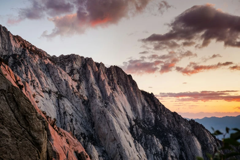 there is a bird standing on top of the mountains