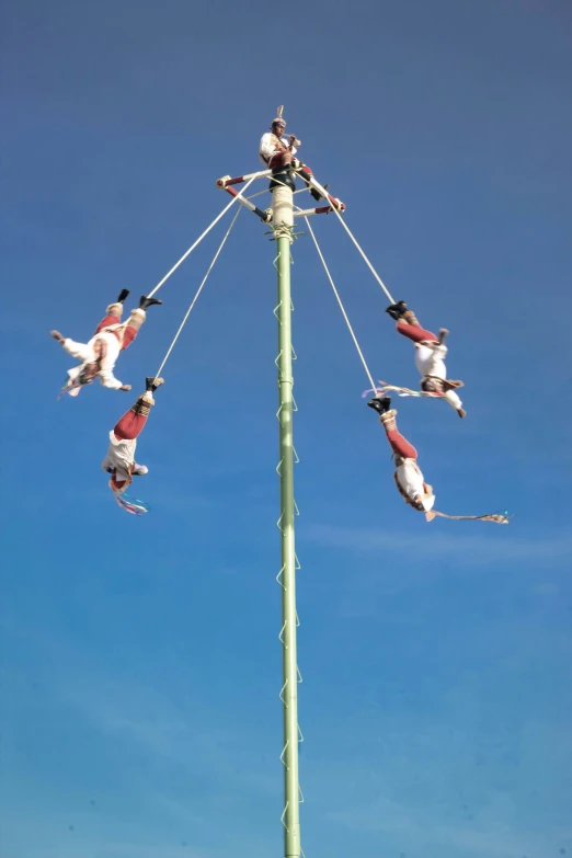 several birds are perched on the top of a pole