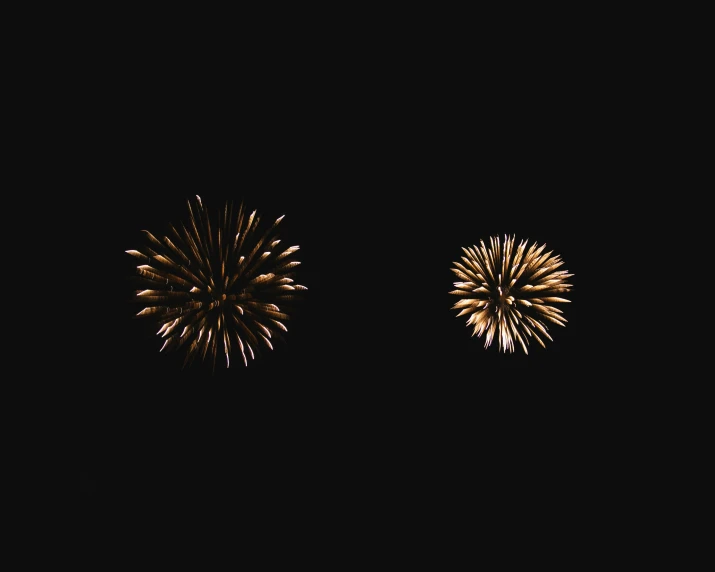 fireworks on a black background lit up by long exposure lights