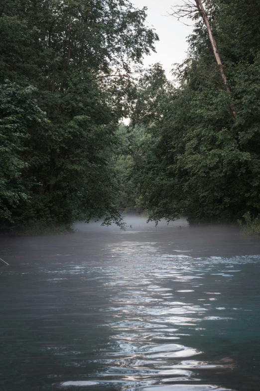 water is moving through the trees on a foggy day