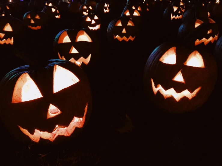 several carved pumpkins in the dark on display