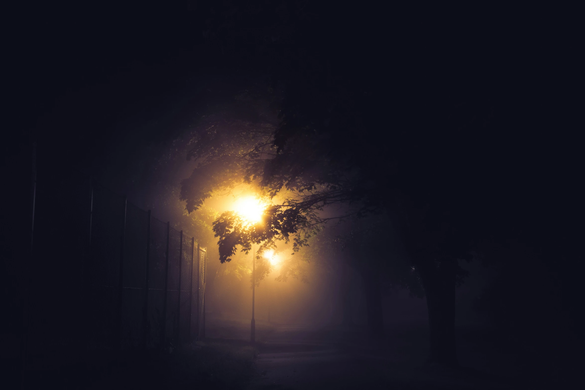 a street light with some dark trees on the other side