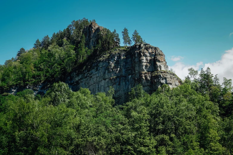 a bunch of trees sitting around a tall rock