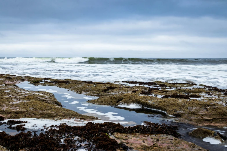 the ocean with rocks and water in front of it