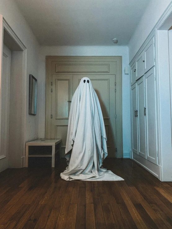 a room with some cabinets and a table covered in a ghost cloth