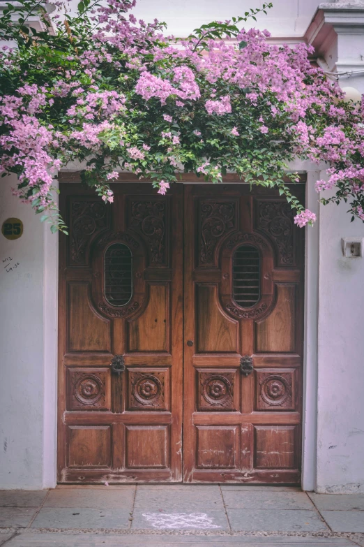 a wooden double door with purple flowers in front