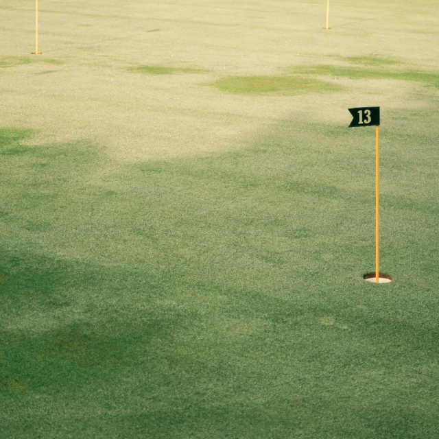 green grass and poles with a fairing pole on the ground