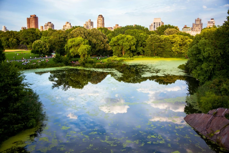 view of sky and clouds in the river from above