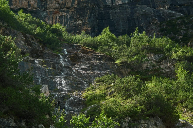 green vegetation grows on the side of a rocky mountain