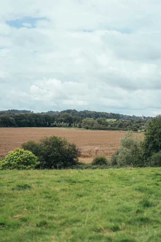 a green field with trees and land behind it