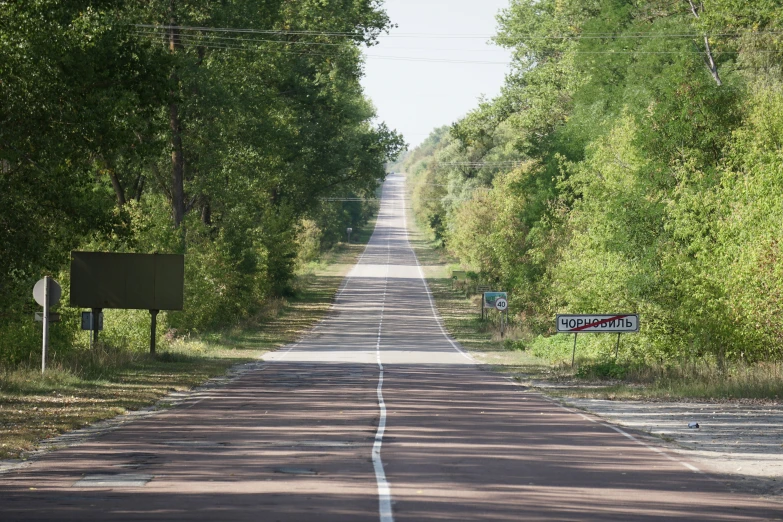 there is only one lane left on this tree lined street