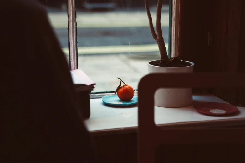 a small tree sits on a desk by a window