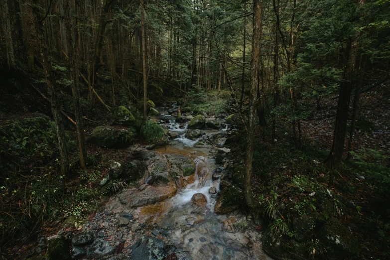 the stream is running through the woods with small streams