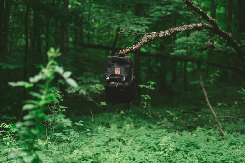 a broken old backpack hanging on a tree nch in a forest