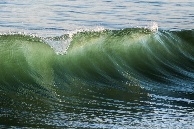 a wave cresting over a calm sea