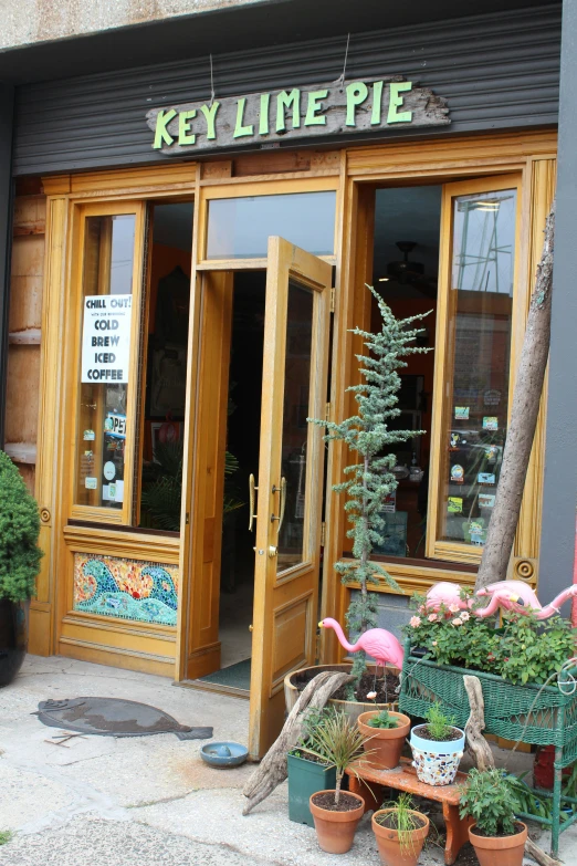 flamingos and plants outside a green shop front