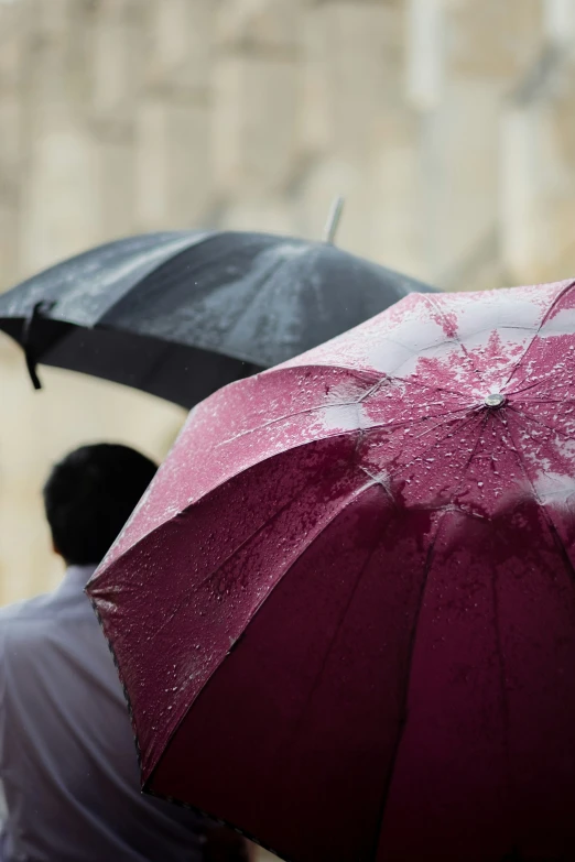 two people hold umbrellas as the sun shines