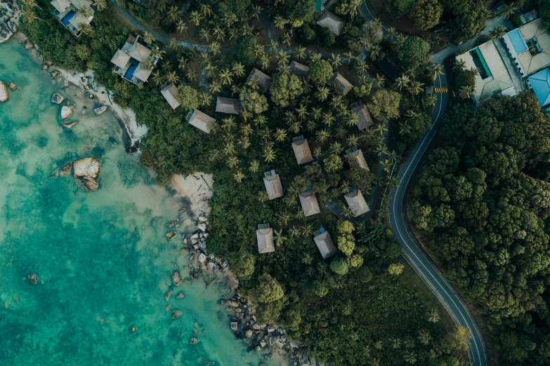 a aerial s of trees and water next to houses