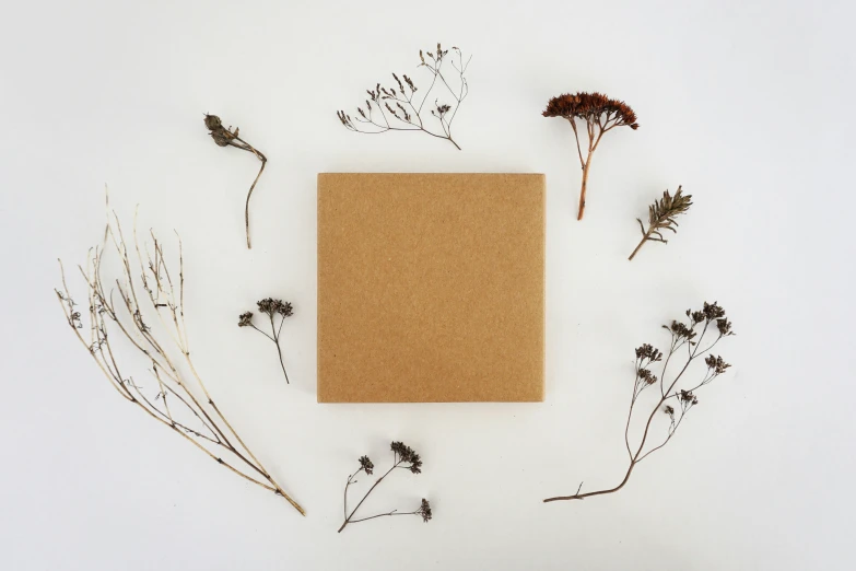 an open notebook with dried plants on top of it