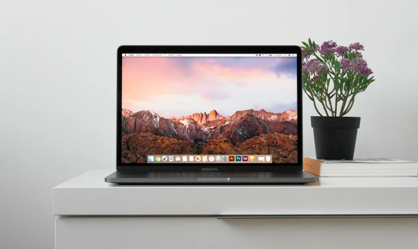 the laptop and a flower are displayed on the desk