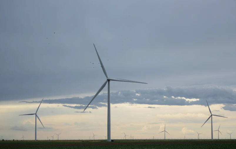 many wind turbines in an open field under a cloudy sky