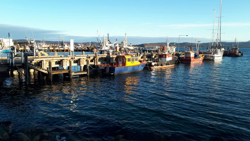 many small boats docked in a harbor on the water