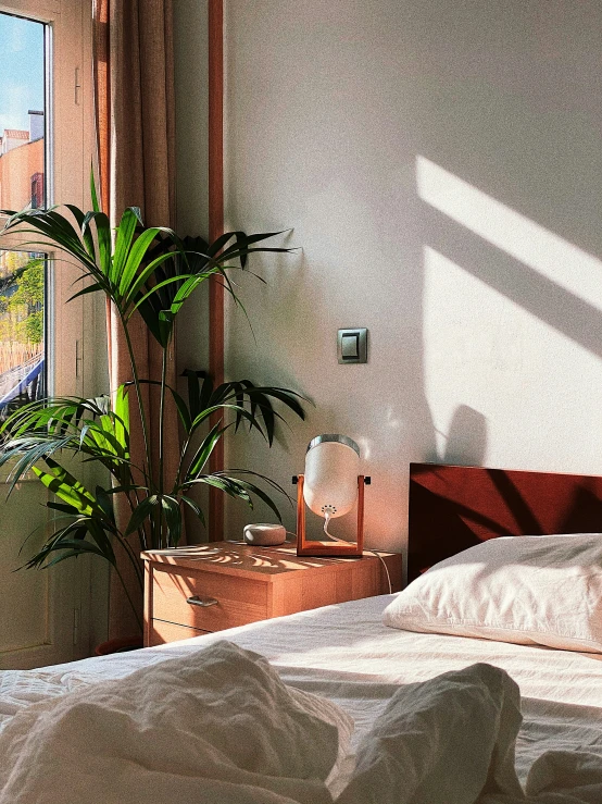 an empty bedroom with a large bed and potted plants