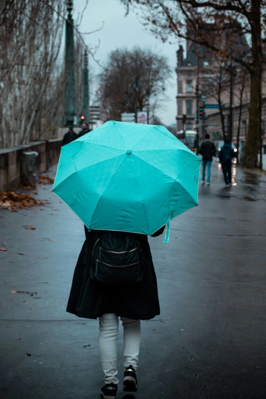 a person with an umbrella walking down a street