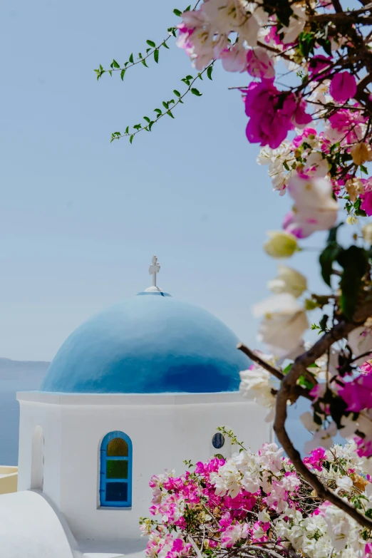 a white church has blue dome with flowers around it