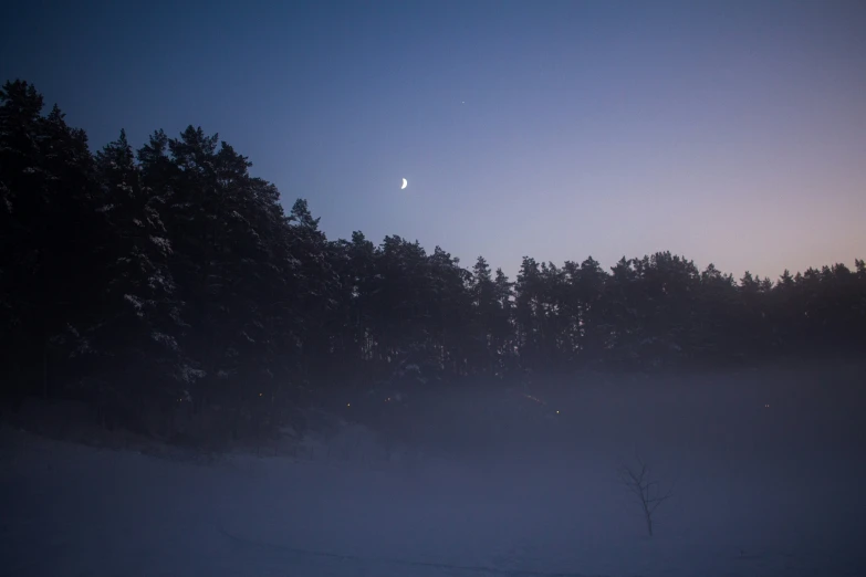 a dark picture of some trees and the sky