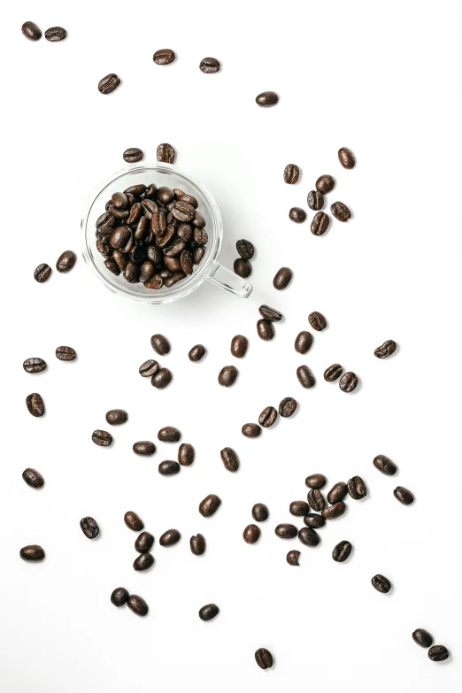 coffee beans in a glass bowl being dropped by a small spoon