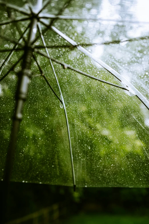 an open umbrella in the rain outside on the grass