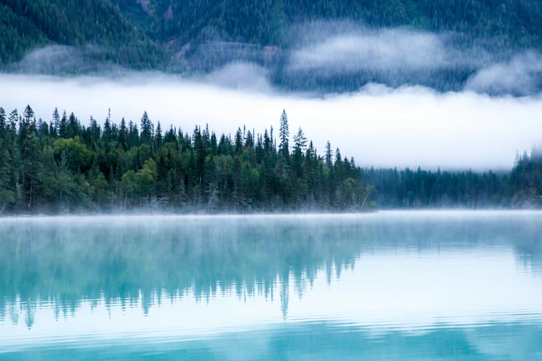 fog rolling through the trees over a calm water