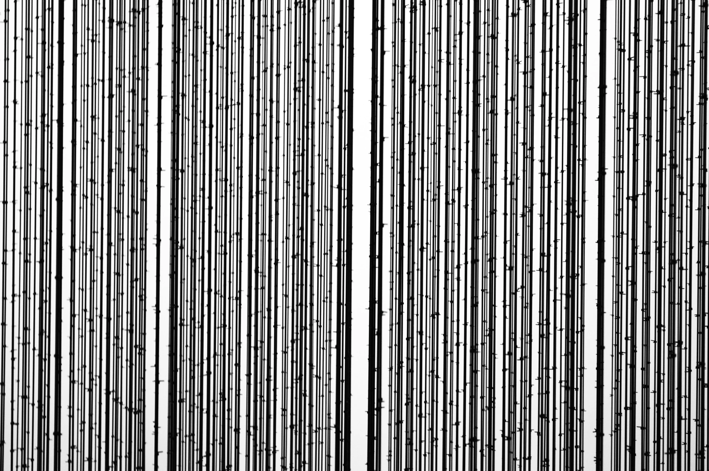 a curtain of lines with black and white tones