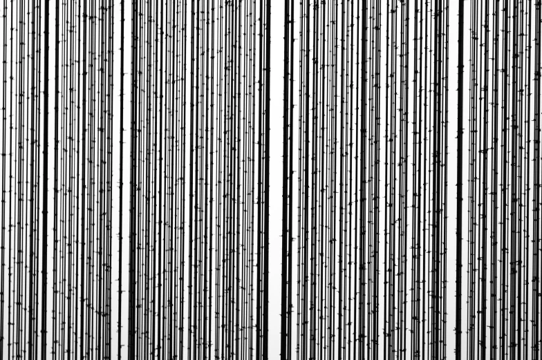 a curtain of lines with black and white tones