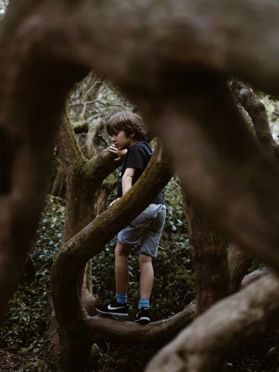 a young child standing on a vine filled tree